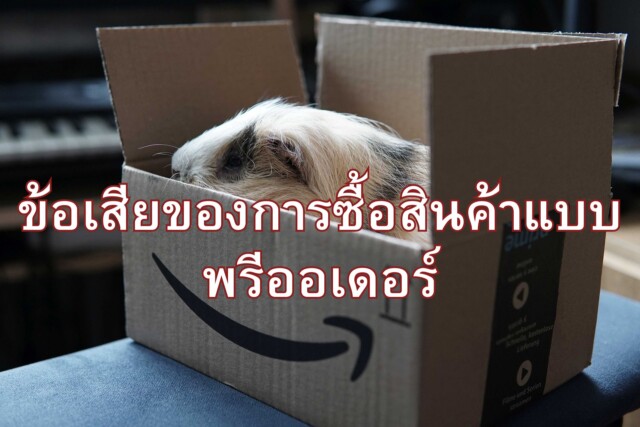 ข้อเสียของการซื้อสินค้าแบบพรีออเดอร์
