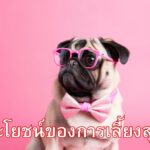 ประโยชน์ของการเลี้ยงสุนัข
