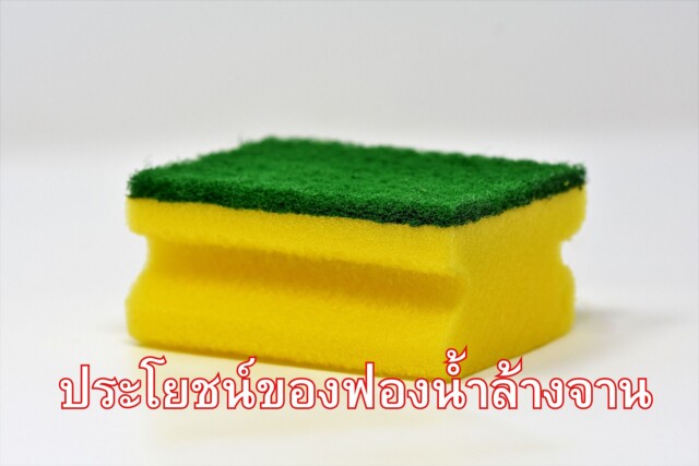 ประโยชน์ของฟองน้ำล้างจาน