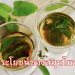 ประโยชน์ของสมุนไพร