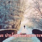 หิมะ ประโยชน์และผลกระทบ