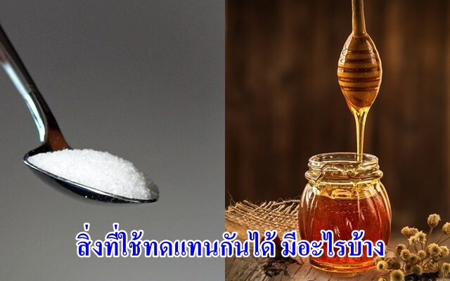 สิ่งที่ใช้ทดแทนกันได้ มีอะไรบ้าง