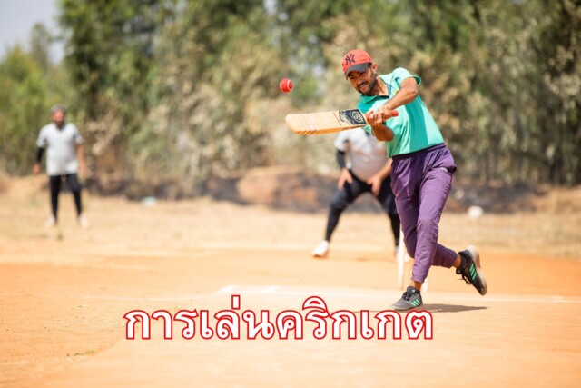 การเล่นคริกเกต