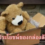 ประโยชน์ของกล่องลัง