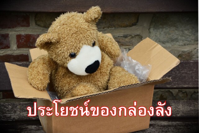 ประโยชน์ของกล่องลัง