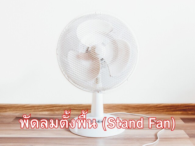พัดลมตั้งพื้น (Stand Fan)