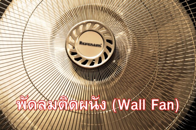 พัดลมติดผนัง (Wall Fan)