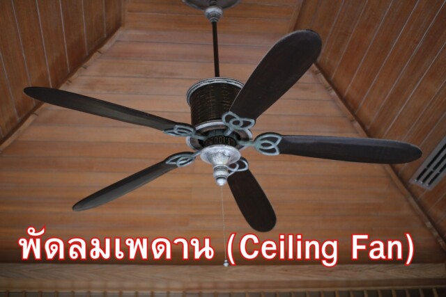 พัดลมเพดาน (Ceiling Fan)