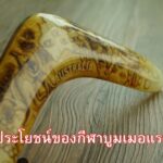 ประโยชน์ของกีฬาบูมเมอแรง
