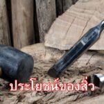 ประโยชน์ของสิ่ว