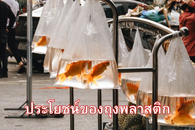 ประโยชน์ของถุงพลาสติก