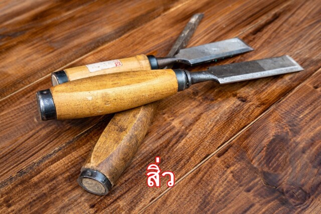 ประเภทของสิ่ว