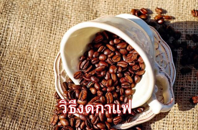 อยากงดกาแฟ ต้องทำอย่างไร?