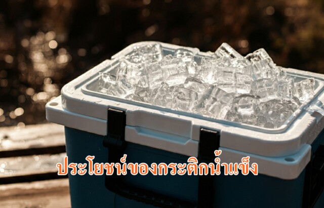 ประโยชน์ของกระติกน้ำแข็ง