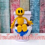 ประโยชน์ของชักโครก