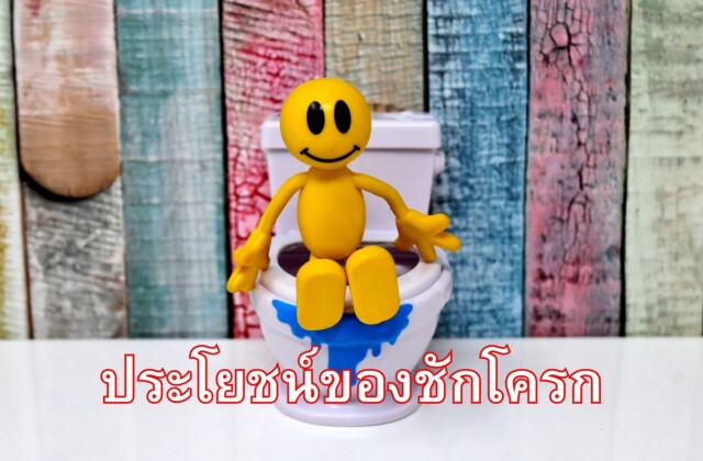 ประโยชน์ของชักโครก