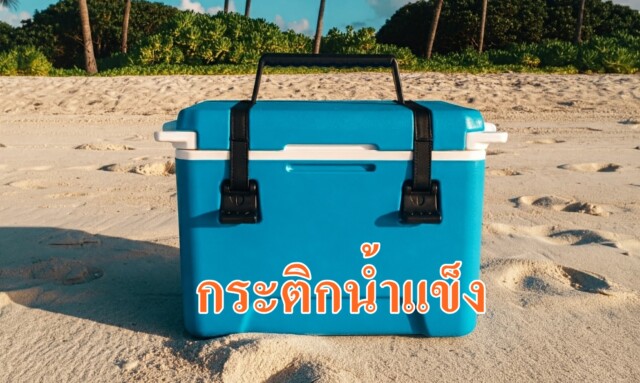 การเลือกซื้อกระติกน้ำแข็ง