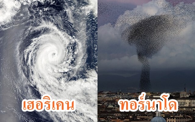 ความแตกต่างระหว่างเฮอริเคนกับทอร์นาโด