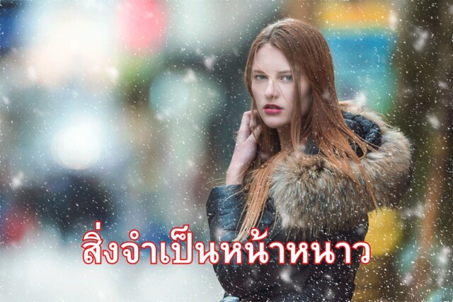 สิ่งจำเป็นหน้าหนาว