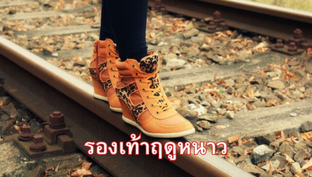การเลือกรองเท้าฤดูหนาว