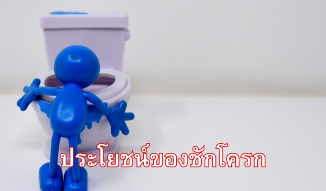 ประโยชน์ของชักโครก