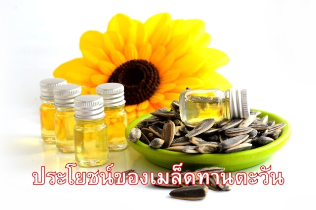 ประโยชน์ของเมล็ดทานตะวัน