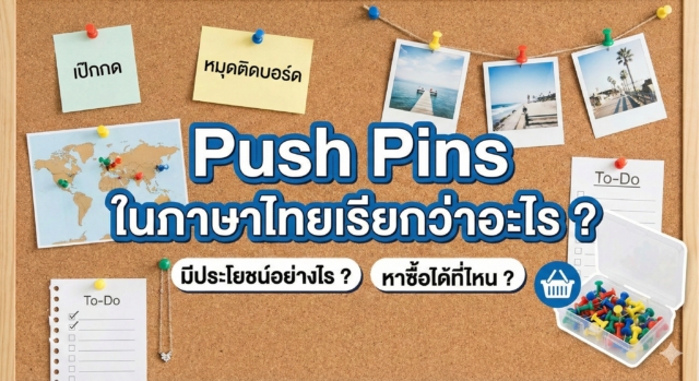 Push Pins ในภาษาไทยเรียกว่าอะไร? พร้อมบอกประโยชน์และพิกัดหาซื้อ